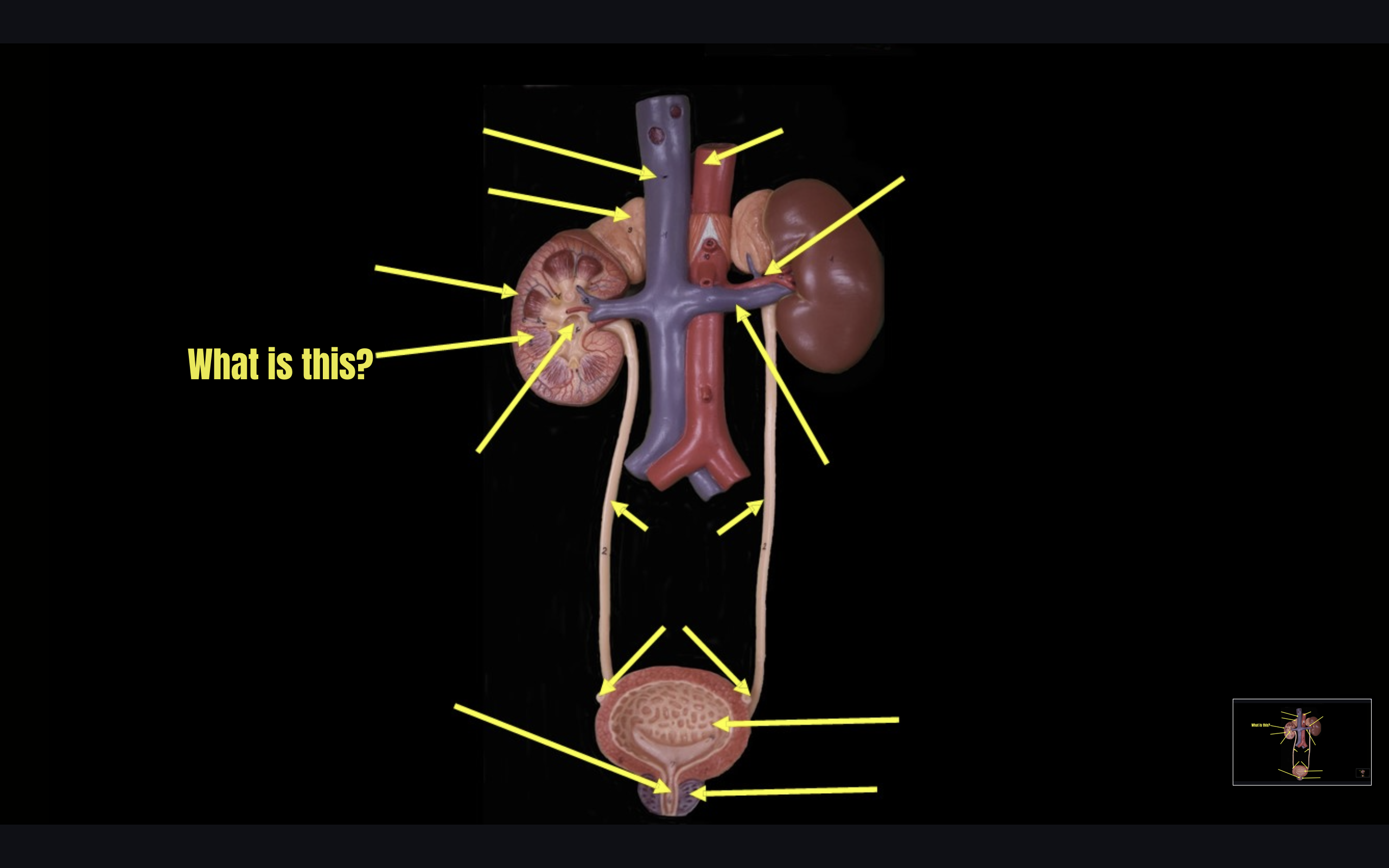 term image
