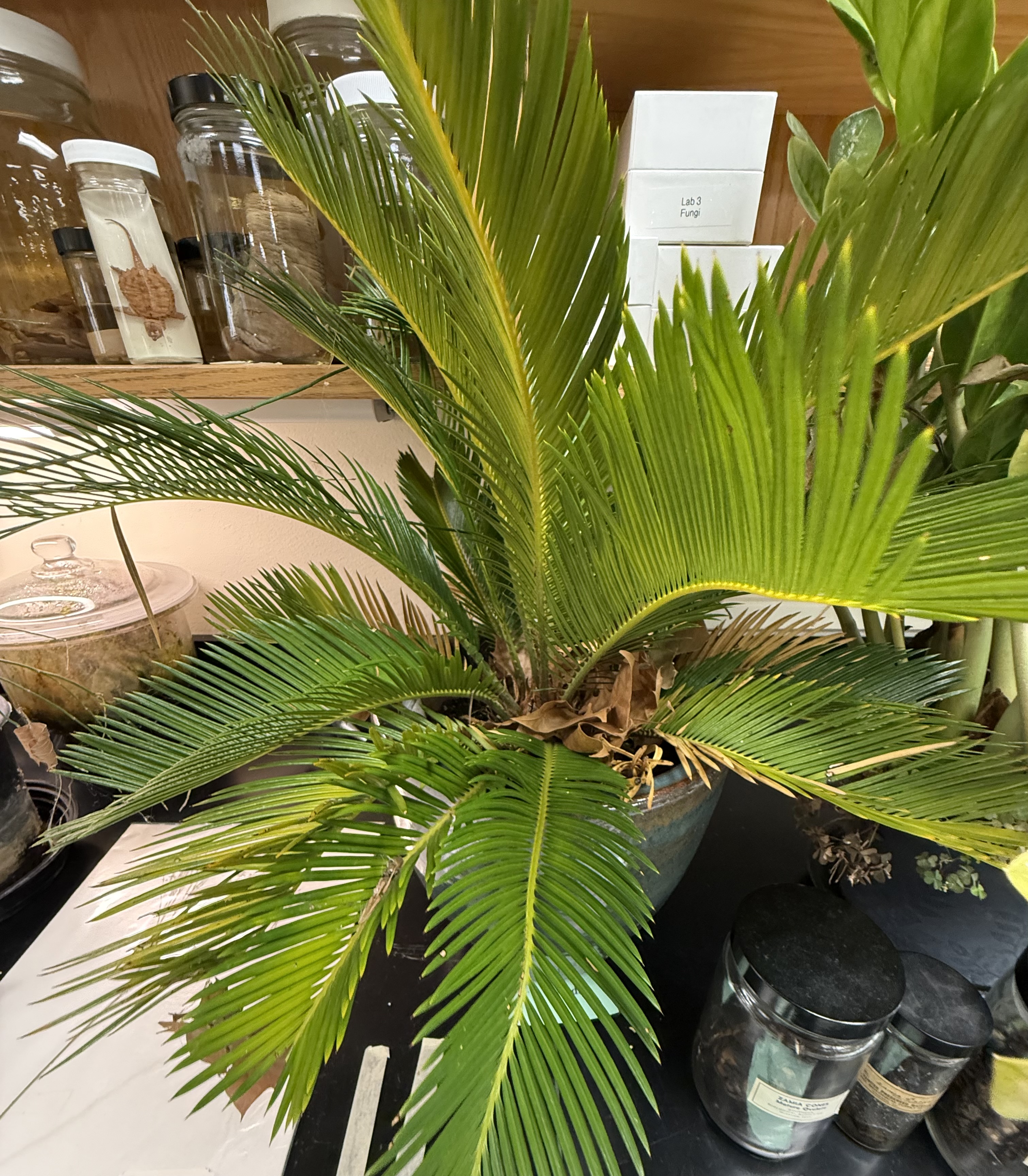 <p>What is this?</p>