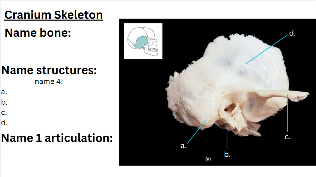 <p>C?</p>
