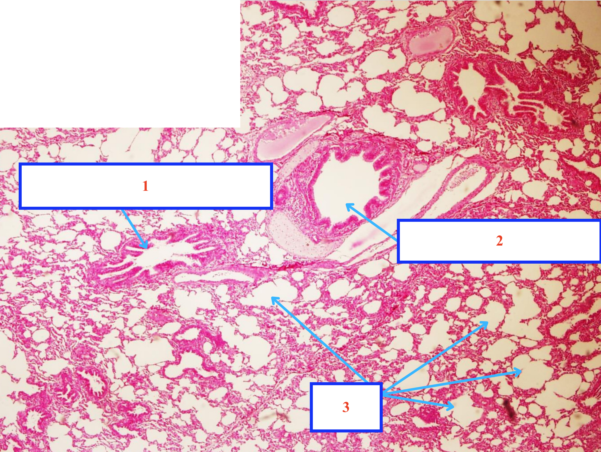<p>Cấu trúc gì ?</p>