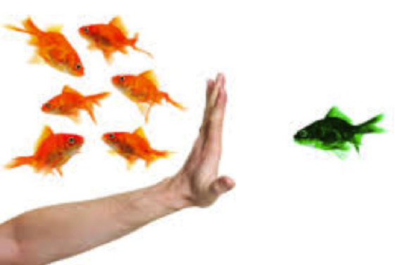 <p>Stimulus discrimination (in classical conditioning)</p>