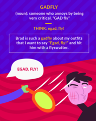 <p>an irritating and persistent person</p>