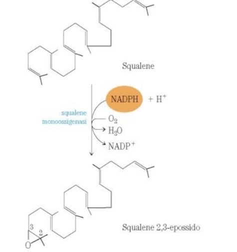 <p>Epossidazione</p>