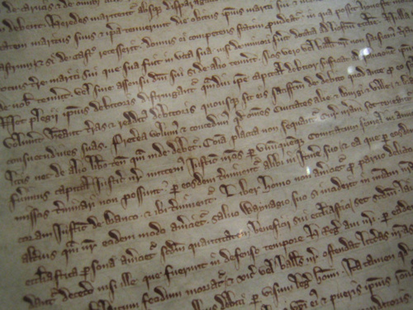 <p>a written legal agreement signed in 1215 by King John was the first document that limited the power of the ruler</p>