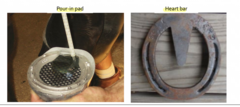<p>what is the goal of shoeing to support the bony column</p>