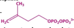 <p>Which primary building block is this </p>