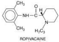 <p>Ester or Amide?</p>