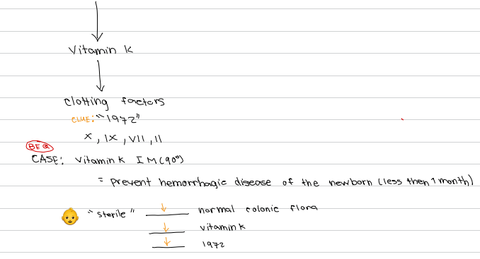 <p>c. Vitamin K</p>