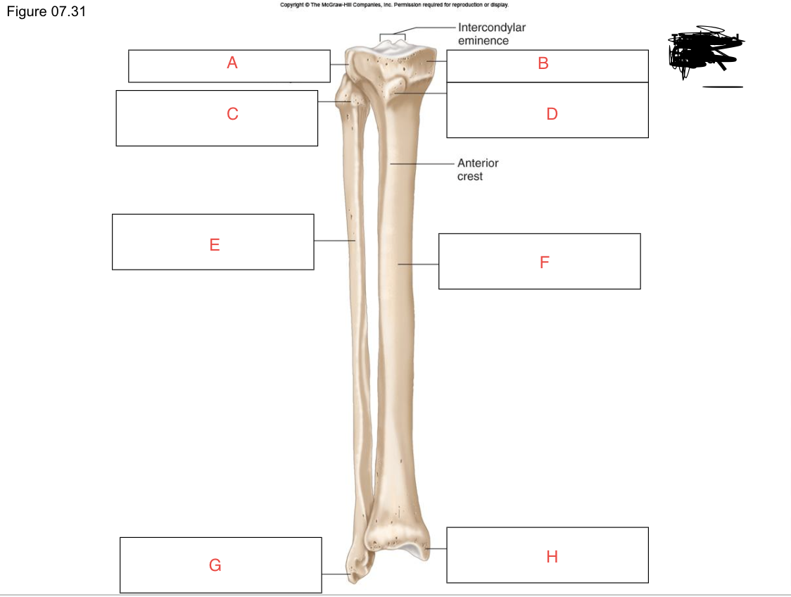 <p>What is E?</p>