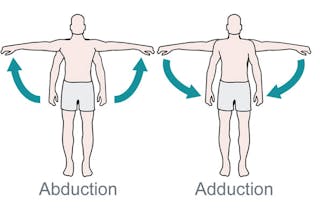 <p>abduction</p>