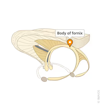 <p>triangle where 3 points connect</p>