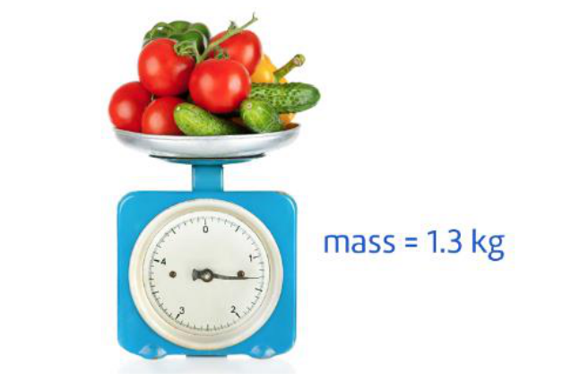 <p>The standard unit of mass; an object with a mass of $$1\,kg$$ on Earth also has a mass of $$1\,kg$$ on the Moon.</p>