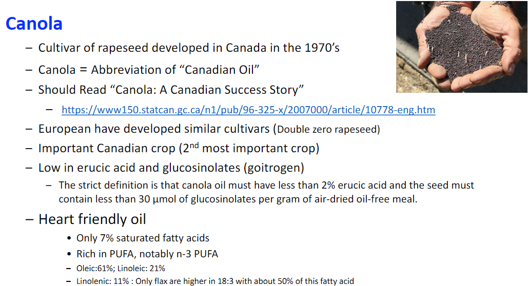 <p><strong>Development</strong><br> • <strong>Cultivar of rapeseed</strong> developed in <strong>Canada in the 1970s</strong><br> • Canola = abbreviation of <strong>“Canadian Oil”</strong><br> • <strong>“Canola: A Canadian Success Story”</strong><br> • Europeans have developed similar cultivars → <strong>double-zero rapeseed</strong></p><p><strong>Importance in Canada</strong><br> • Important <strong>Canadian crop</strong><br> • <strong>2nd most important crop</strong></p><p><strong>Low Erucic Acid and Glucosinolates</strong><br> • Low in <strong>erucic acid</strong> and <strong>glucosinolates (goitrogen)</strong><br> • <strong>Goitrogen</strong> → substance that can affect the thyroid and cause goiter<br> • Strict definition of canola oil → <strong>less than 2% erucic acid</strong><br> • Seed → <strong>less than 30 μmol of glucosinolates per gram</strong> of air-dried, oil-free meal</p><p><strong>Fatty Acid Composition</strong><br> • Considered a <strong>heart-friendly oil</strong><br> • Only <strong>7% saturated fatty acids</strong><br> • Rich in <strong>PUFA (polyunsaturated fatty acids)</strong>, notably <strong>n-3 PUFA</strong><br> • <strong>Oleic acid</strong> → 61%<br> • <strong>Linoleic acid</strong> → 21%<br> • <strong>Linolenic acid</strong> → 11%<br> • Only <strong>flax</strong> is higher in 18:3 → about <strong>50%</strong> of this fatty acid</p>