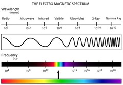 <p>Son las ondas electromagnéticas (REM) emitidas por:</p><p>-Sólidos y líquidos incandescentes (ej: un metal al calentarse) 🔥.</p><p>-Gases a baja presión en estado excitado (ej: lámparas de neón) 💡</p><p>-Cuando los átomos o moléculas reciben energía, sus electrones saltan a niveles superiores y al volver a su estado fundamental, emiten luz en longitudes de onda específicas</p><p>🌈 ¡Datos clave!</p><p>-Huella digital de los elementos:</p><p>-Independencia de la pureza:</p><p>Ej: El sodio (Na) siempre emite una línea amarilla característica (589 nm), ya sea en sal común (NaCl) o en metal puro. 💛</p>