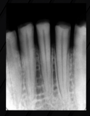 <p>What is this an example of?</p>