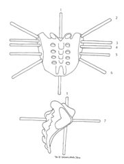 <p>6</p>