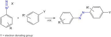 <ul><li><p>It adds an R group to one of the N’s, and the N triple bond becomes an N double bond </p></li></ul><p></p>