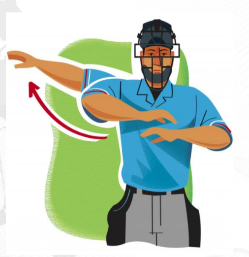 <p>baseball softball</p>