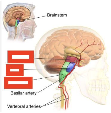 <p>Fill in the missing labels</p>