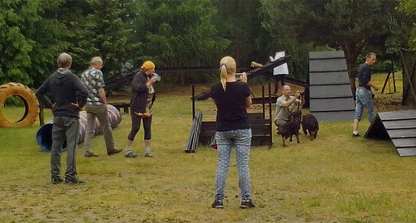 <p>TRANSLATION: выполнять трюки</p><p>DEFINITION: to do special actions for entertainment or rewards</p><p>EXAMPLE: Dogs can learn to ........................ like sitting or giving a paw. Собаки могут научиться ВЫПОЛНЯТЬ ТРЮКИ, например, сидеть или давать лапу.</p>