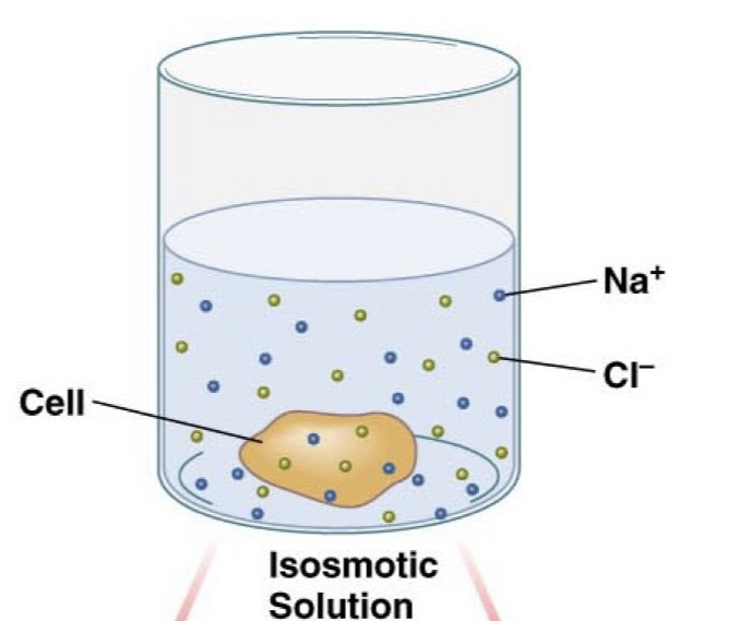 <p>Solution matches the osmolarity of the cell so water does not flow net in or out, but there is still a flow of water, net flux is 0.</p>