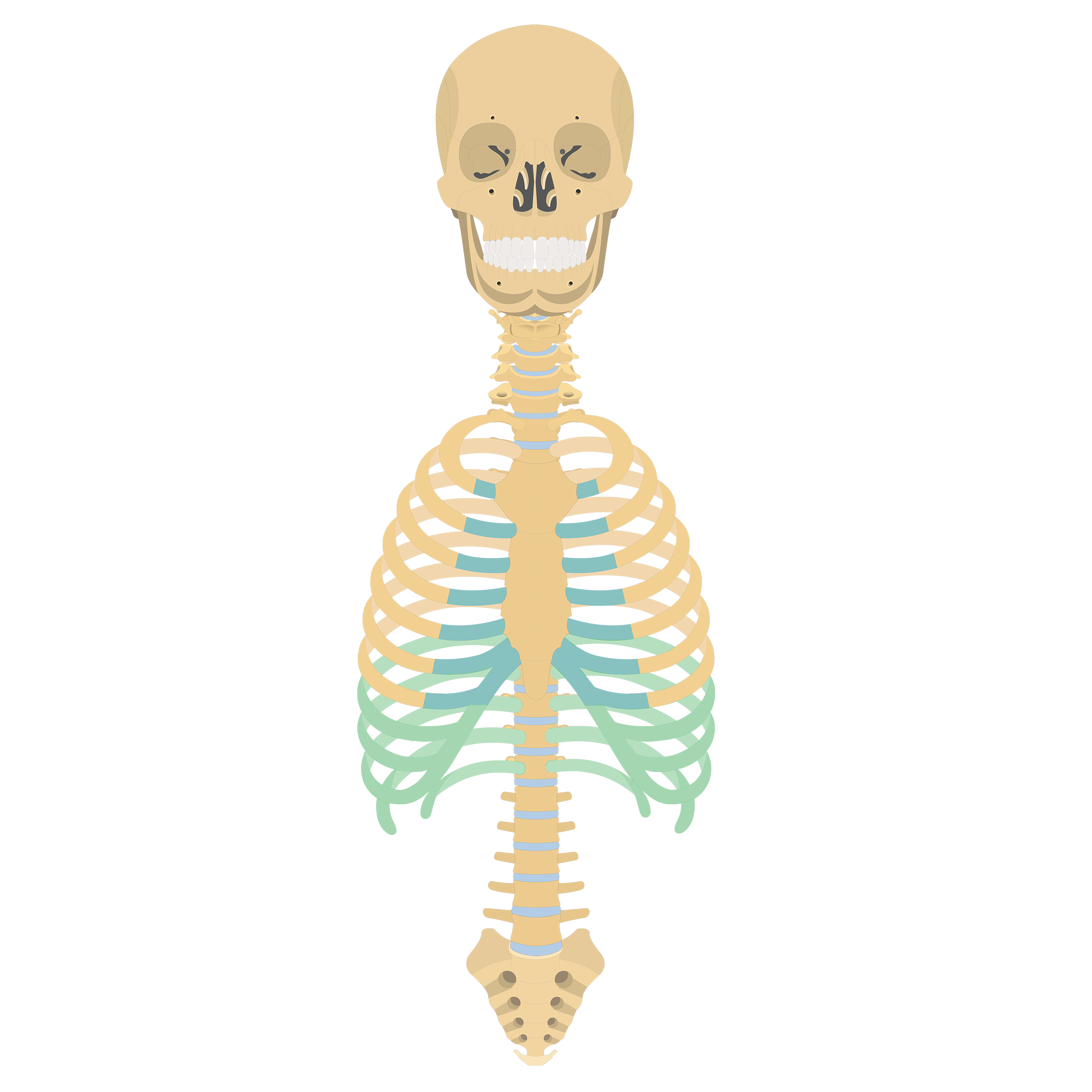 <p>What is this part called?</p>