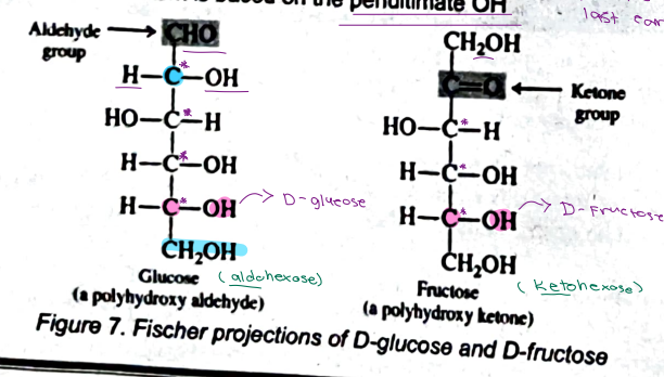 <p>[STRUCTURE  &amp; iSOMERISM]</p><p class="font-claude-response-body break-words whitespace-normal">Functional group at the top of glucose's Fischer projection</p><p class="font-claude-response-body break-words whitespace-normal">a. Hydroxyl group<br>b. Ketone group<br>c. Aldehyde group (CHO)<br>d. Carboxyl group</p>