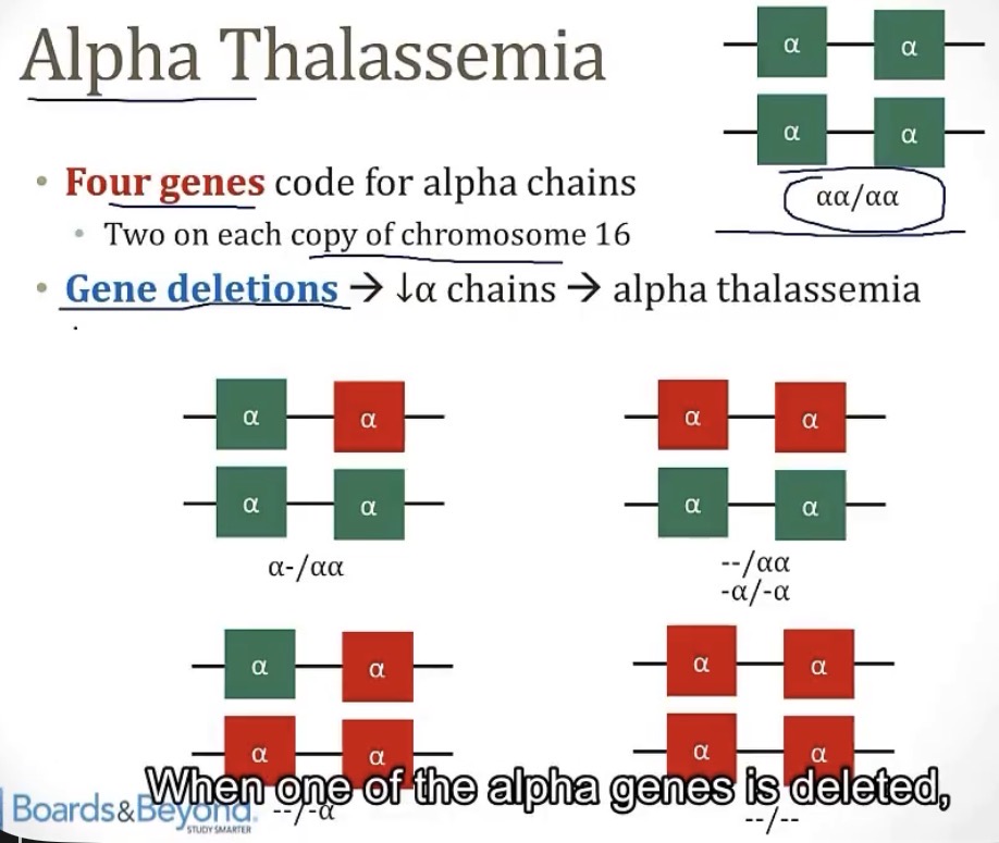 <p>-alpha thalassemia minima</p><p>-alpha thalassemia minor</p><p>-hemoglobin H disease</p><p>-hemoglobin Barts</p>