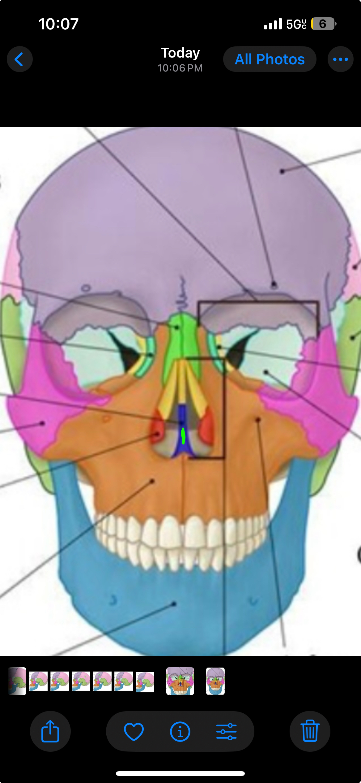 term image