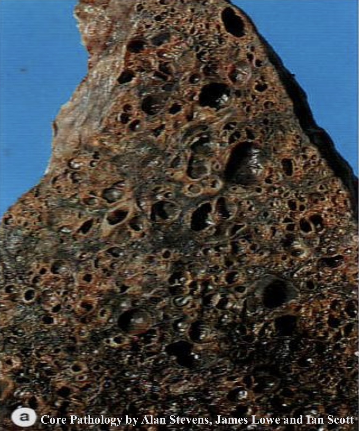 term image
