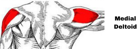 <p>abduction</p><p>ex: lat pull down</p>