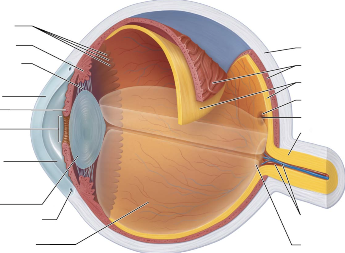 <p>eighth arrow on right</p>