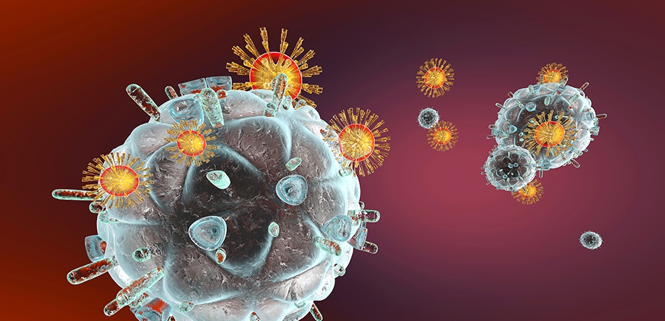 <p>infect (v)</p>