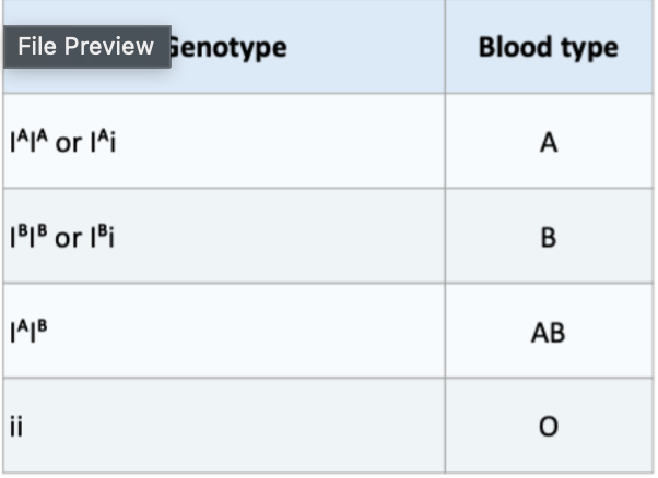 <p>ABO blood type has three alleles:</p>