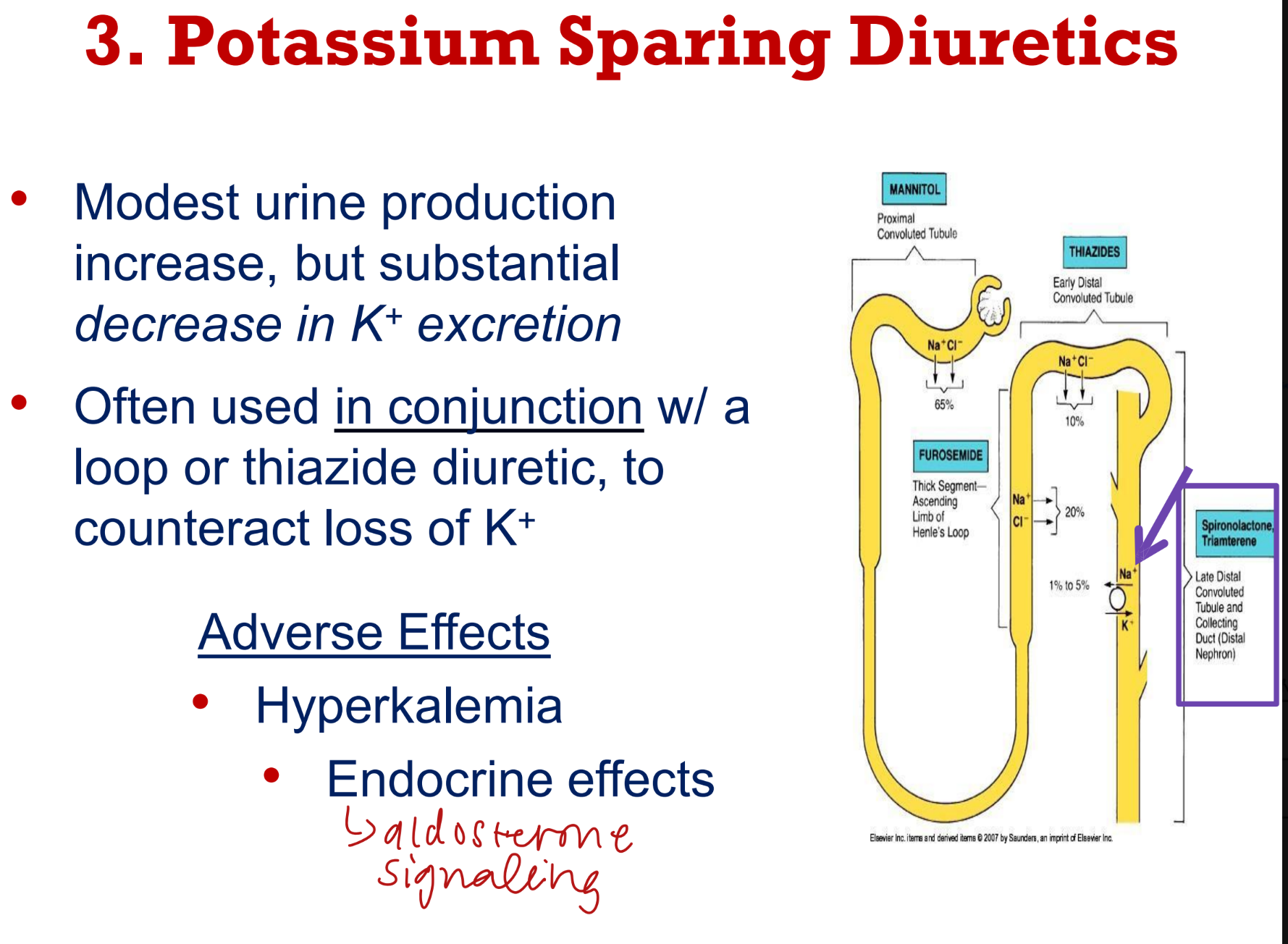 <ul><li><p>direct antagonist of aldosterone</p></li><li><p>inhibits ENac and Na+/K+-ATPase</p></li><li><p>reduces NA+ reabsorption and K+ secretion</p></li><li><p>potassium sparing</p></li><li><p>vasodilator too (RAAS system)</p></li></ul><p></p>