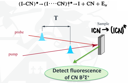 <ul><li><p>The pump excites ICN to ICN*, this causes the bond to begin elongating until eventually breaking.</p></li><li><p>Changing the frequency of the pulse changes the bond length, therefore probing the formation of the TS.</p></li><li><p>As the bond length changes, CN will cause fluorescence, therefore tell you if CN exists at certain bond lengths, i.e. the TS.</p></li></ul><p></p>