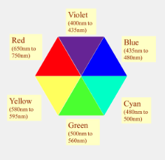 <p>how does absorption of radiation affect how we see coloured objects</p>
