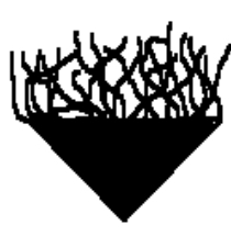 <p>what margin is this?</p>