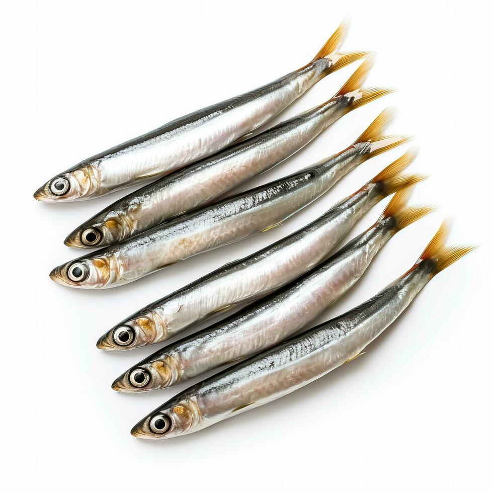 <p>anchovy</p>