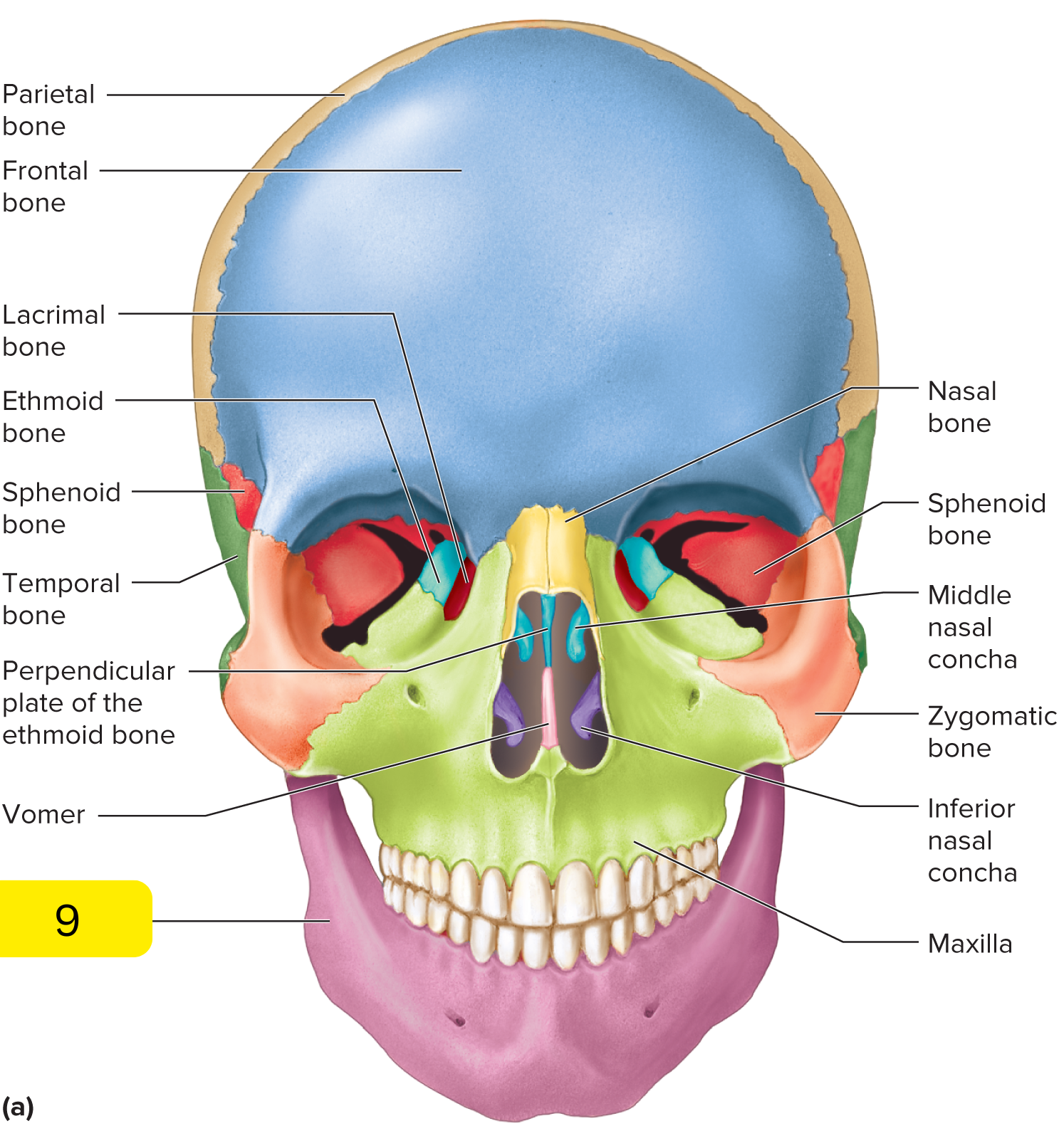 <p>What’s #9?</p>