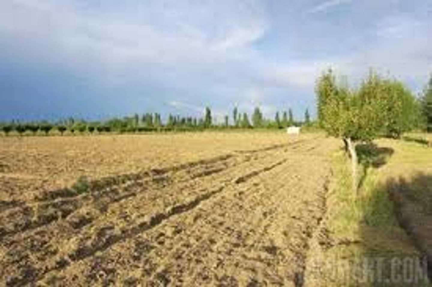 <p>the unplanted land in the 3 field system</p>