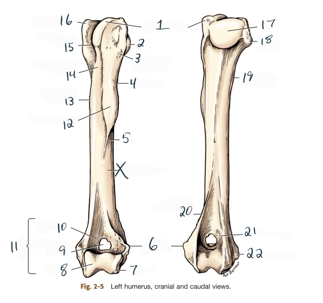 <p>1</p>