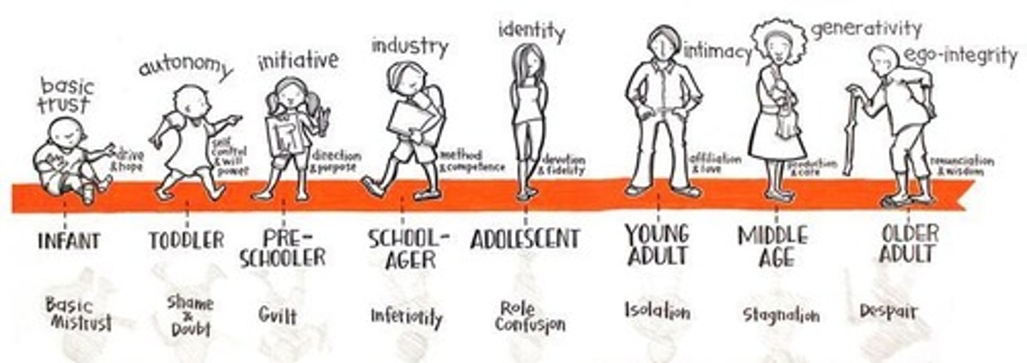 <p>- Each stage involves what Erikson originally called a crisis in personality.</p><p>- Each stage requires the balancing of a positive trait and a corresponding negative one</p><p>- Successful resolution of each crisis puts the person in a particularly good position to address the next crisis.</p>