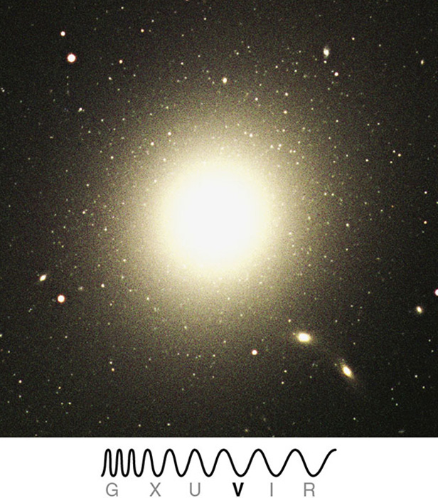 <p>Identify which type of galaxy is represented in the image</p>