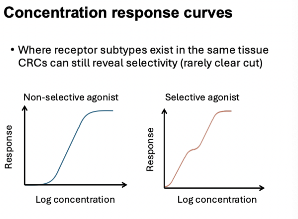 <p>concentration response curves with non selective and selective agonist</p>