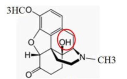 <p>[OPIOIDS]</p><p>a. Naloxone</p><p>b. Naltrexone</p><p>c. Methylnaltrexone</p><p>d. Oxycodone</p><p>e. Oxymorphone</p>