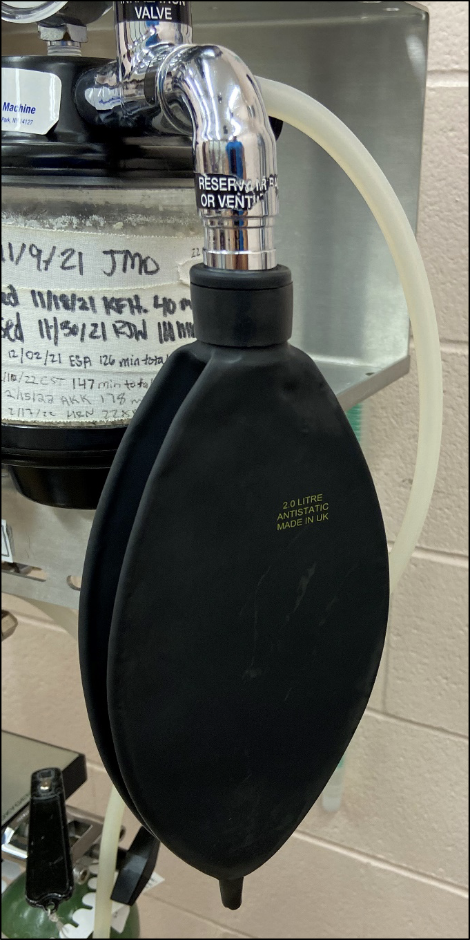 <p>is this normal for rebreathing bag</p>