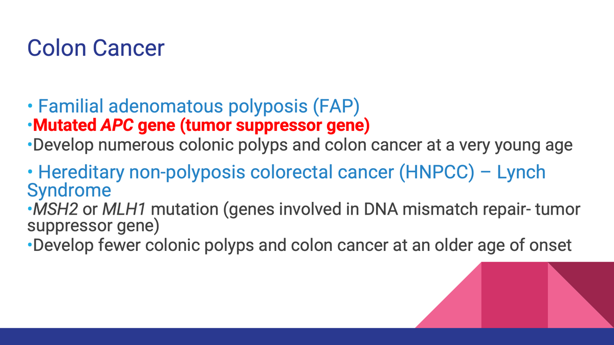 <p><strong>The two principal lines of evidence are:</strong></p><ol><li><p><strong>Histologic observation of progressive lesions</strong> from normal mucosa to adenoma to carcinoma.</p></li><li><p><strong>Identification of sequential genetic alterations</strong> (APC → KRAS → TP53 and others) that accumulate as the tumor progresses.</p></li></ol><p></p><p></p><p></p><p><span>•<strong>Model of stepwise genetic alterations in cancer is best illustrated by observation of colonic lesions at different stages of progression to malignancy.</strong></span></p><p style="text-align: left;"><span>•Schematic illustrates the sequential phases of cellular abnormalities and polyp formation in the colon as shown on a timeline that also depicts the corresponding genetic events associated with each cellular landmark.</span></p><p style="text-align: left;"><span>•<em>APC</em> tumor suppressor gene mutation —> abnormal cell proliferation —> polyps</span></p><p style="text-align: left;"><span>•Polyp formation—>oncogenes —> activation of growth factor receptor signaling pathways —> polyps grow bigger</span></p><p style="text-align: left;"><span>•Mutations in specific genes (<em>DCC)</em> or inactivation of <em>TP53</em> disrupts cell cycle checkpoints and apoptosis → invasive cancer phenotype develops</span></p><p style="text-align: left;"><span>•Mismatch repair genes (if mutation in gene, then cannot proofread, and thus errors are propagated)</span></p><p style="text-align: left;"><span>•As adenomas develop and enlarge, an early feature prior to invasion that occurs, is the development of new vessels or destruction of existing vessels —> microscopic bleeding that can be detected on fecal occult blood tests</span></p>