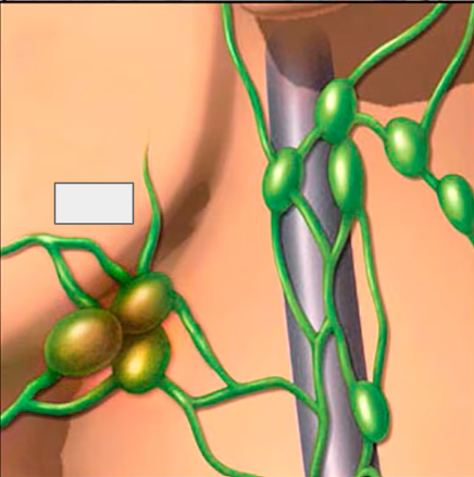 <p>What is this?</p>