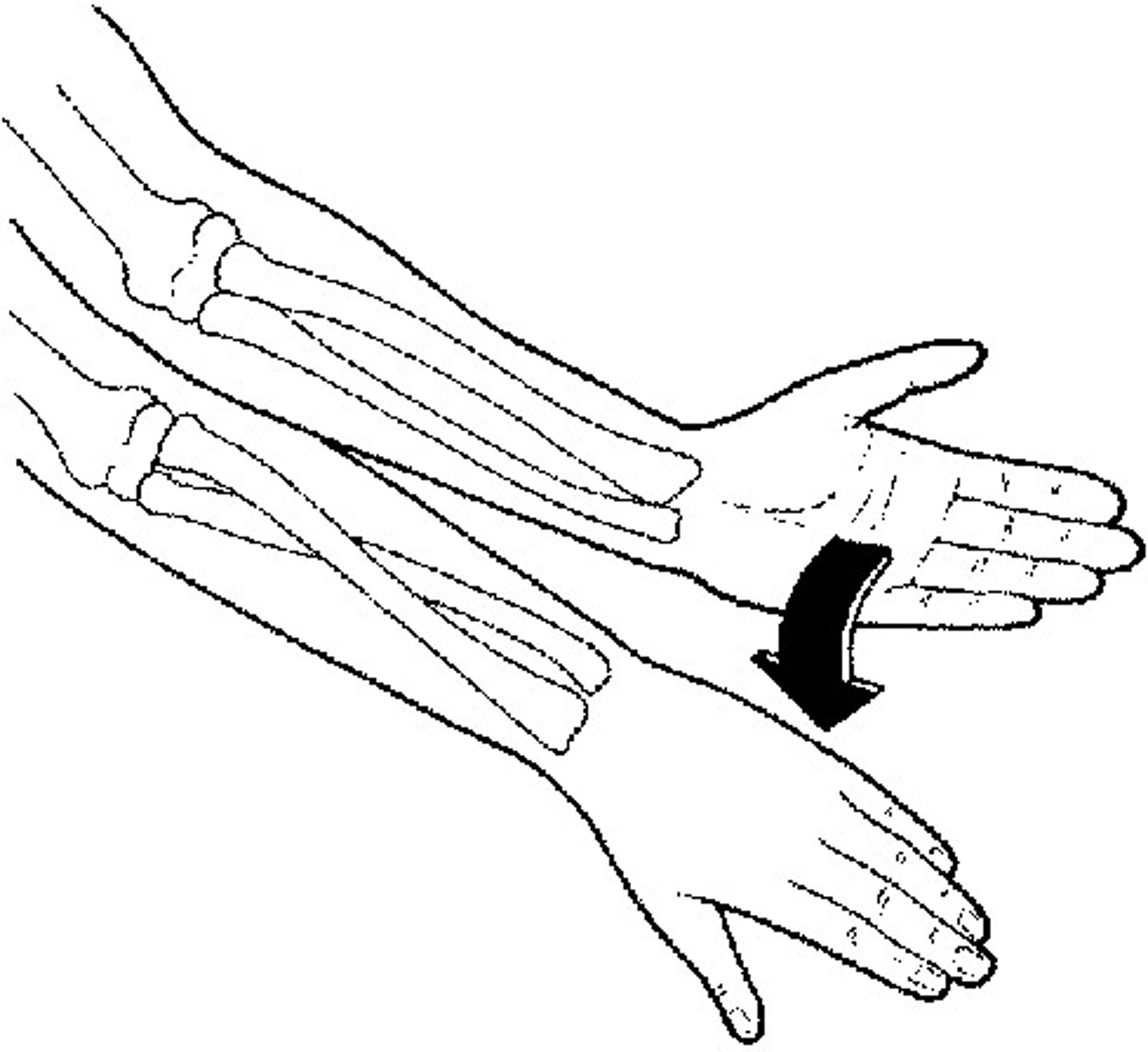 <p>turning the palm downward</p>